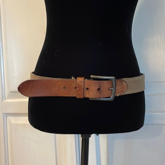 Fossil Other - Fossil belt